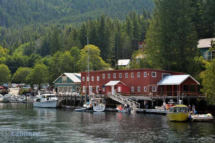 telegraph cove, the town